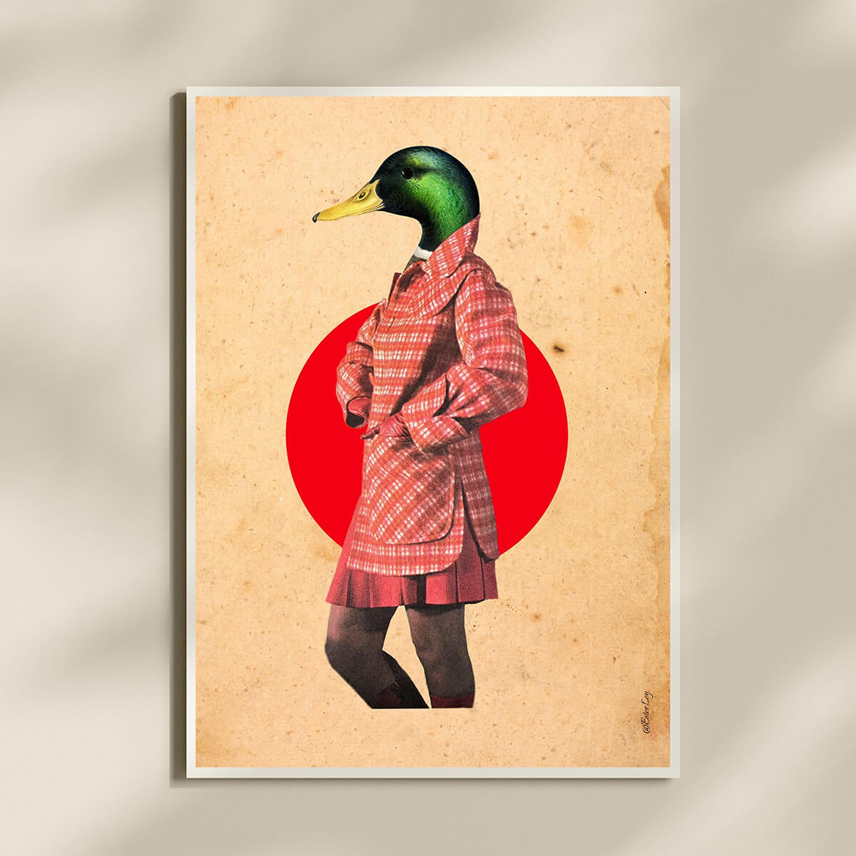 A bird in red